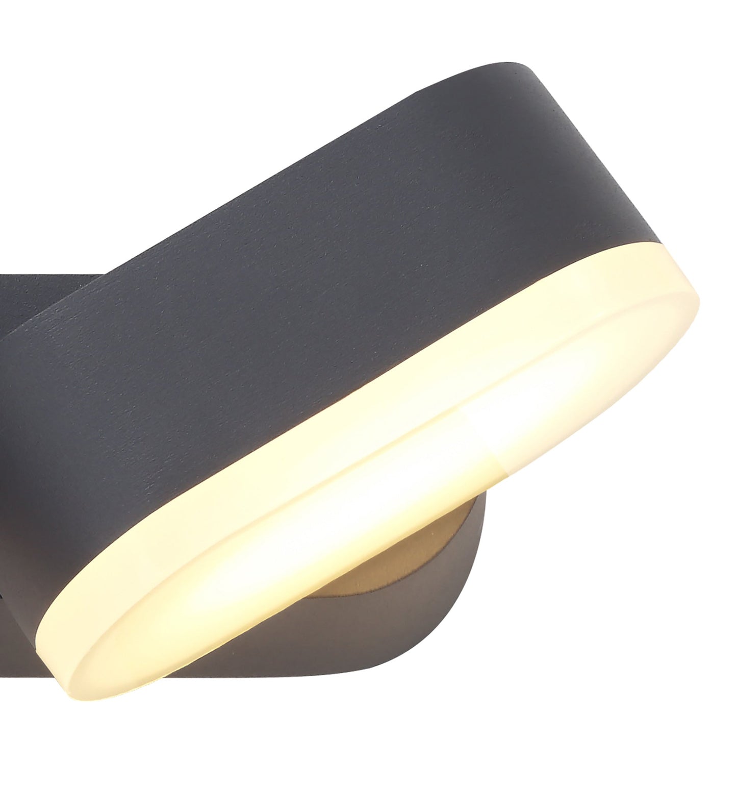 Albert 2 Light Adjustable Wall Lamp, 2 x 6W LED, 3000K, 780lm, IP54, Anthracite, 3yrs Warranty