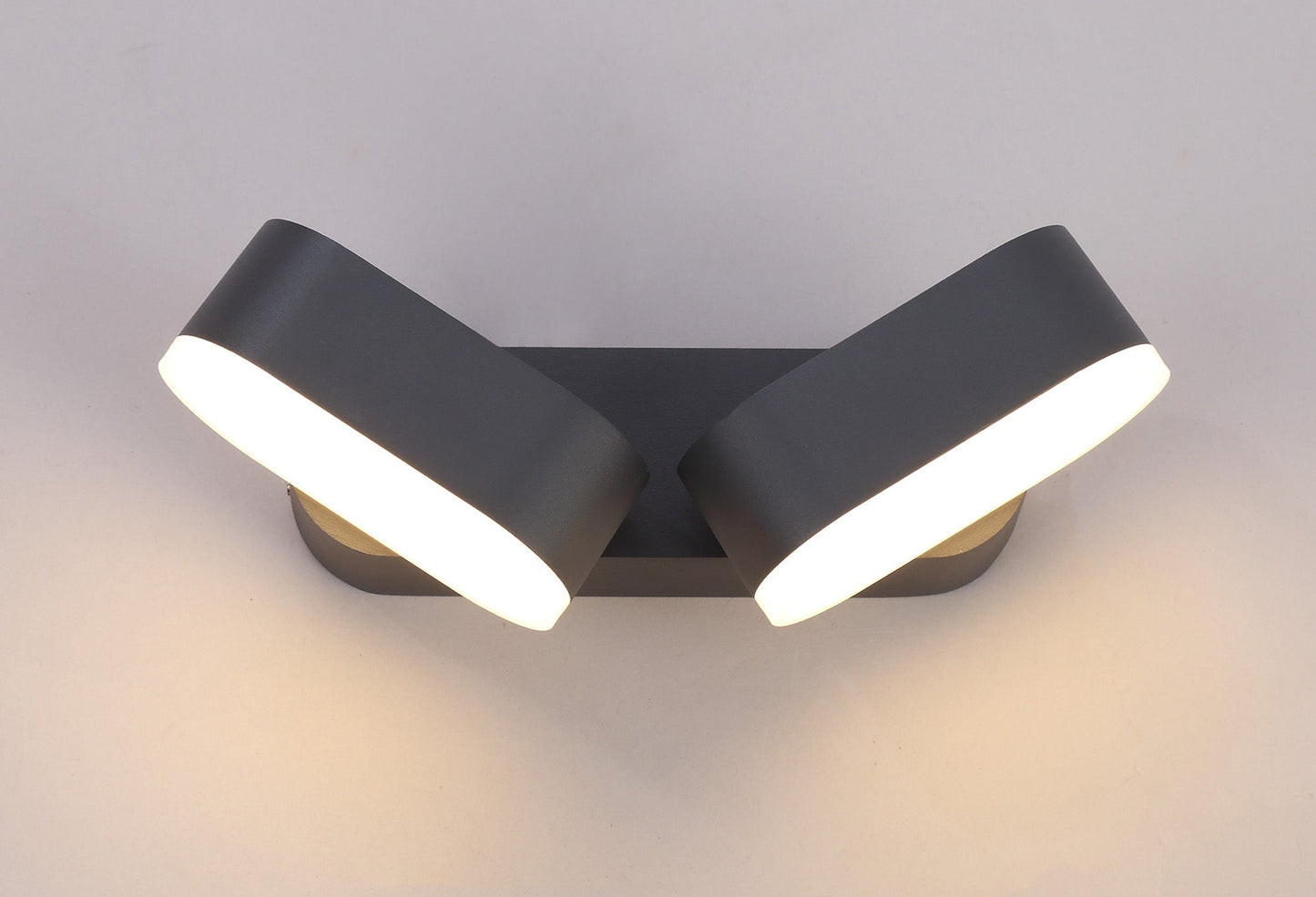 Albert 2 Light Adjustable Wall Lamp, 2 x 6W LED, 3000K, 780lm, IP54, Anthracite, 3yrs Warranty