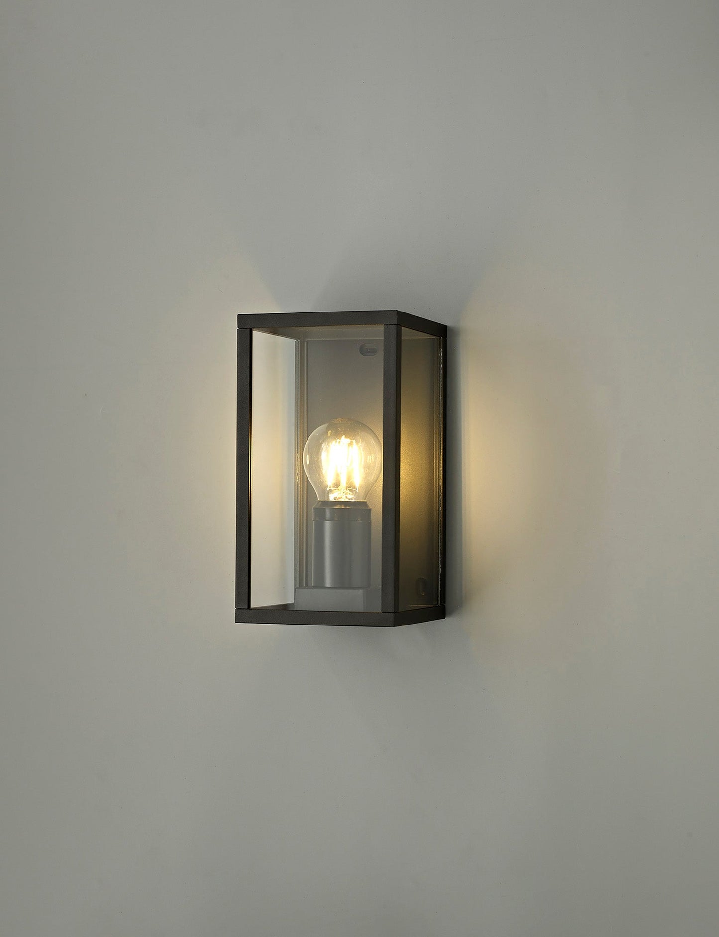 Briar Flush Wall Lamp, 1 x E27, IP54, Graphite Black, 2yrs Warranty 2