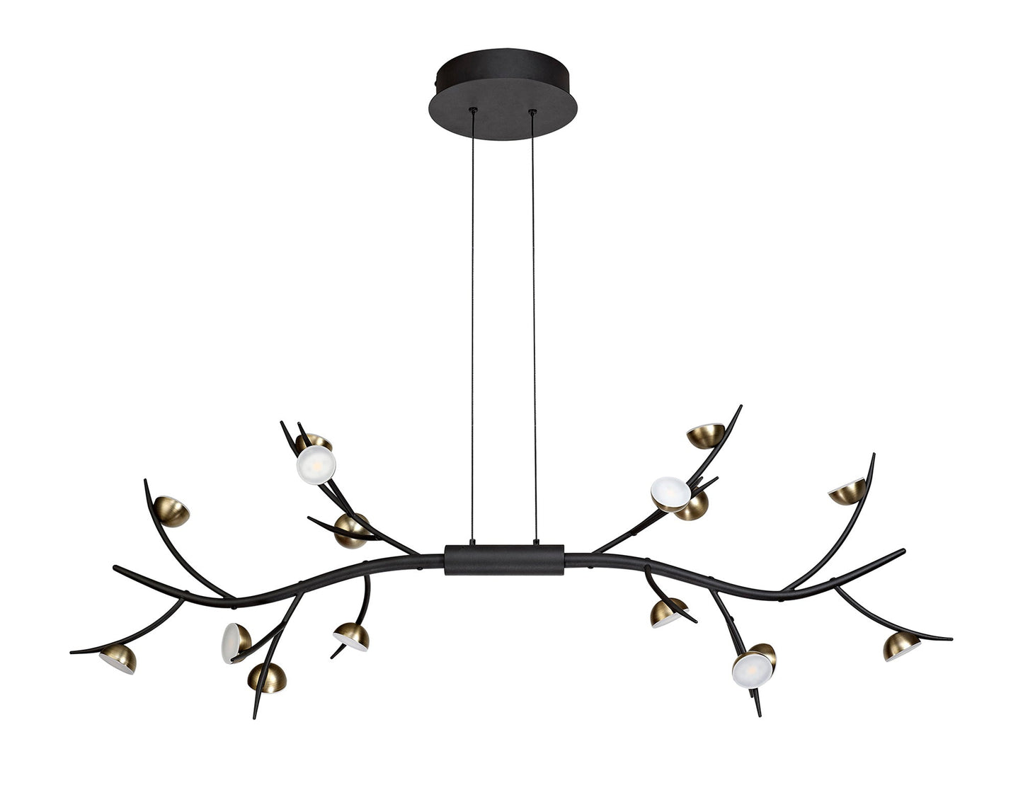 Budworth 16 Light Linear Pendant, 16 x 3W LED, 3000K, 2640lm, Black and Antique Brass, 3yrs Warranty