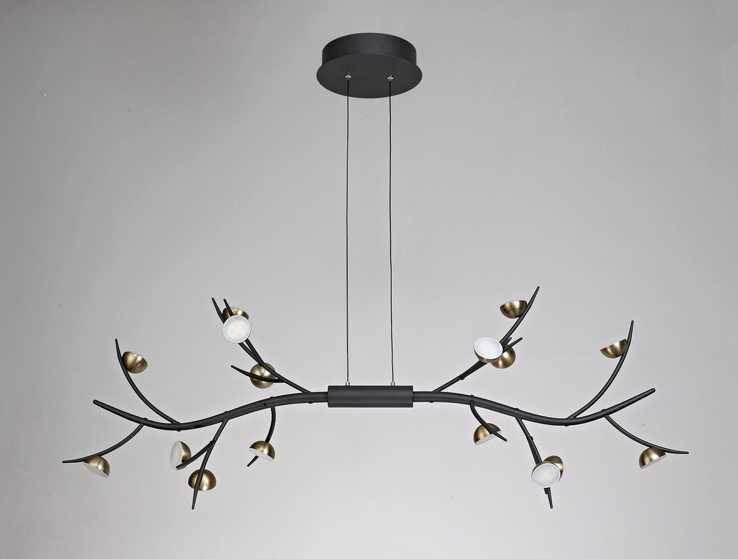 Budworth 16 Light Linear Pendant, 16 x 3W LED, 3000K, 2640lm, Black and Antique Brass, 3yrs Warranty