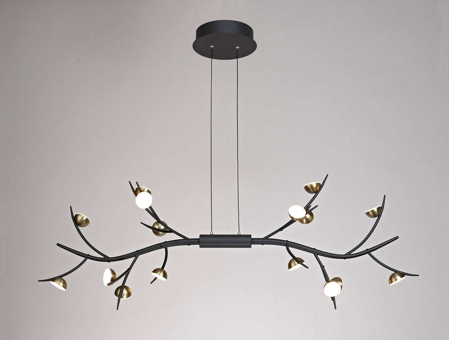 Budworth 16 Light Linear Pendant, 16 x 3W LED, 3000K, 2640lm, Black and Antique Brass, 3yrs Warranty