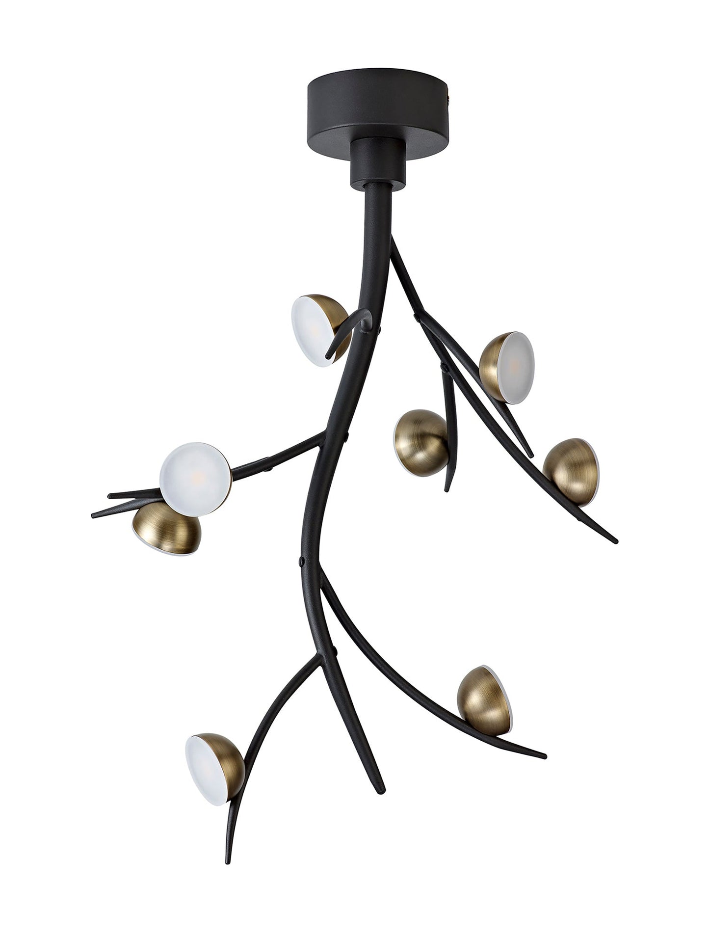 Budworth 8 Light Ceiling Pendant, 8 x 3W LED, 3000K, 1320lm, Black and Antique Brass, 3yrs Warranty