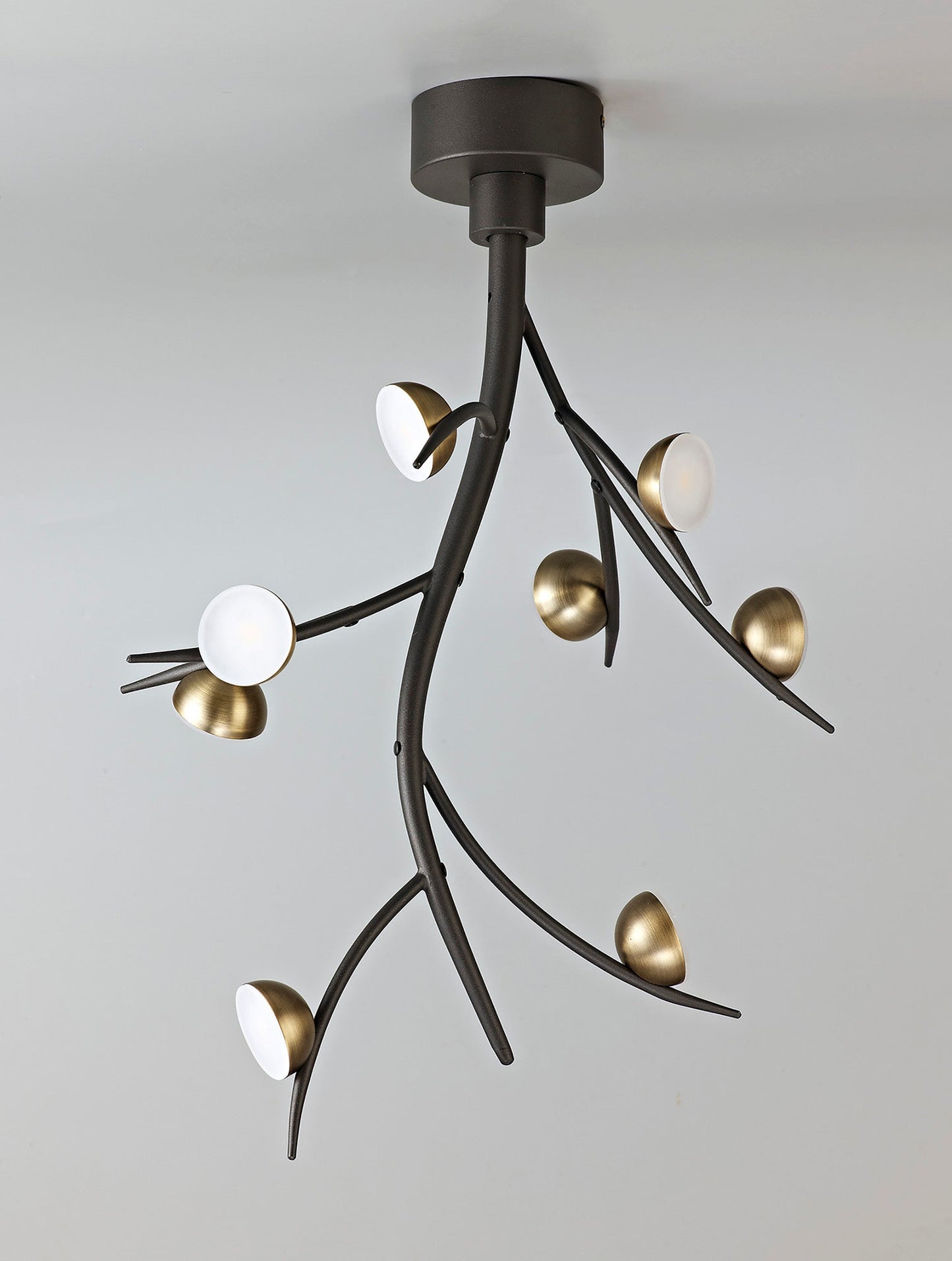 Budworth 8 Light Ceiling Pendant, 8 x 3W LED, 3000K, 1320lm, Black and Antique Brass, 3yrs Warranty