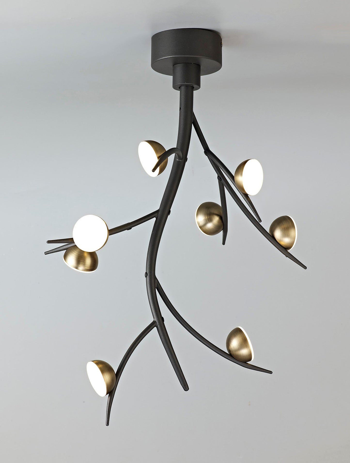 Budworth 8 Light Ceiling Pendant, 8 x 3W LED, 3000K, 1320lm, Black and Antique Brass, 3yrs Warranty