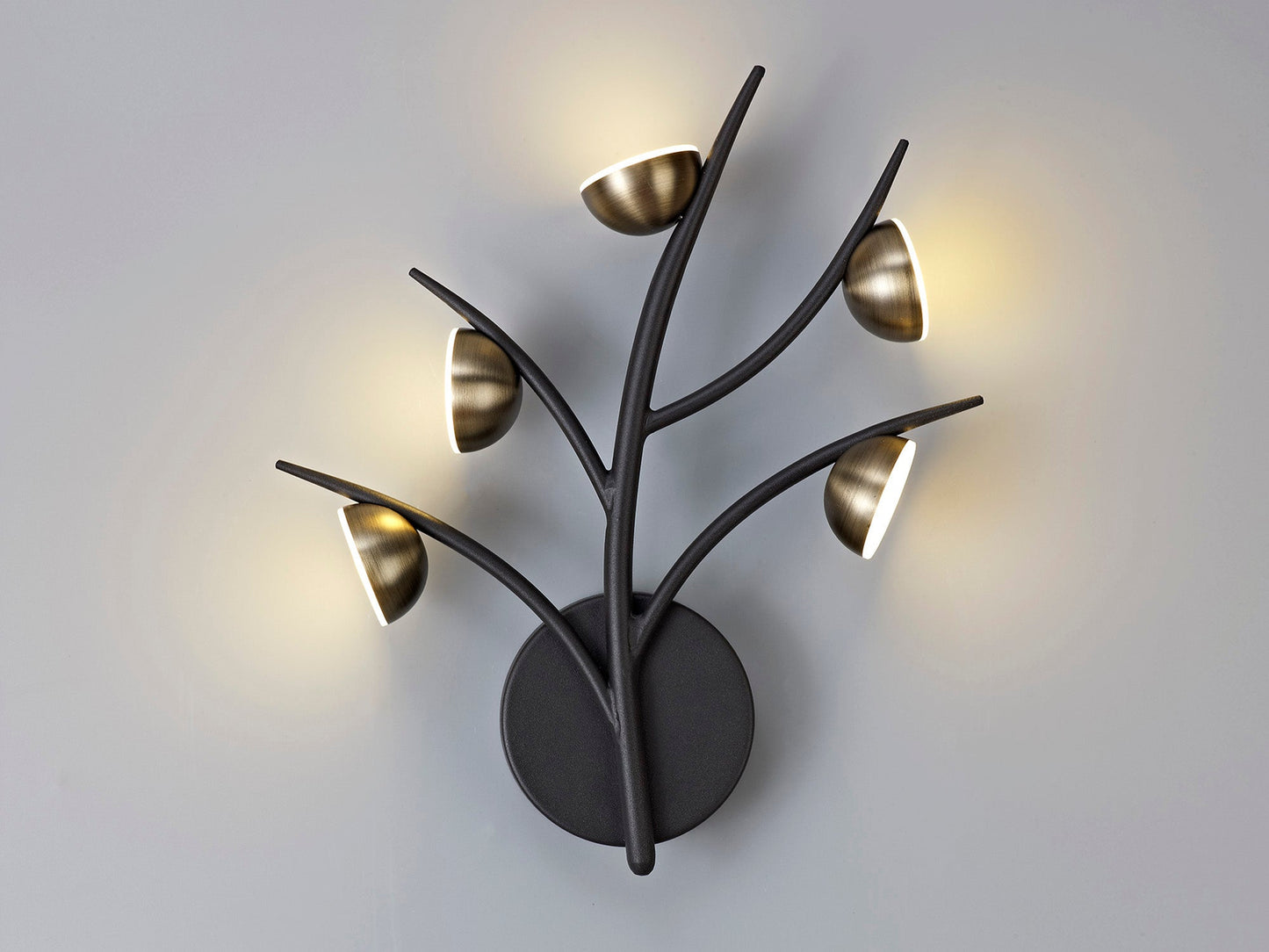 Budworth 5 Light Wall Lamp, 5 x 3W LED, 3000K, 825lm, Black and Antique Brass, 3yrs Warranty