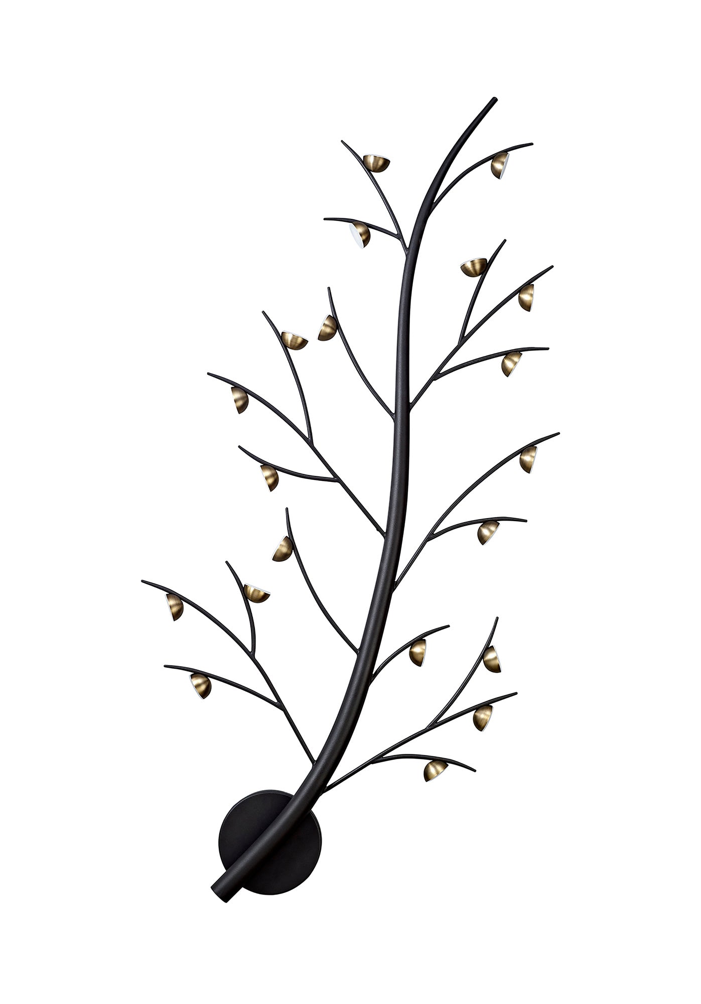 Budworth 20 Light Wall Lamp, 20 x 3W LED, 3000K, 3300lm, Black and Antique Brass, 3yrs Warranty