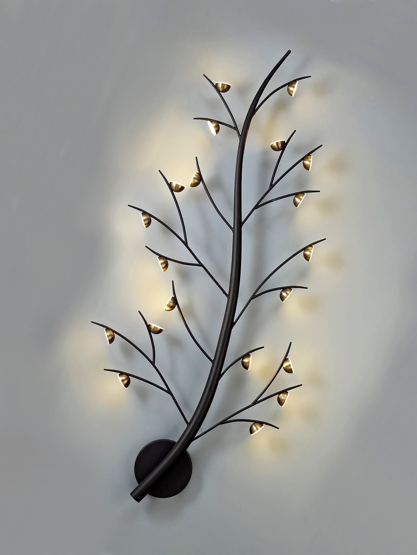Budworth 20 Light Wall Lamp, 20 x 3W LED, 3000K, 3300lm, Black and Antique Brass, 3yrs Warranty