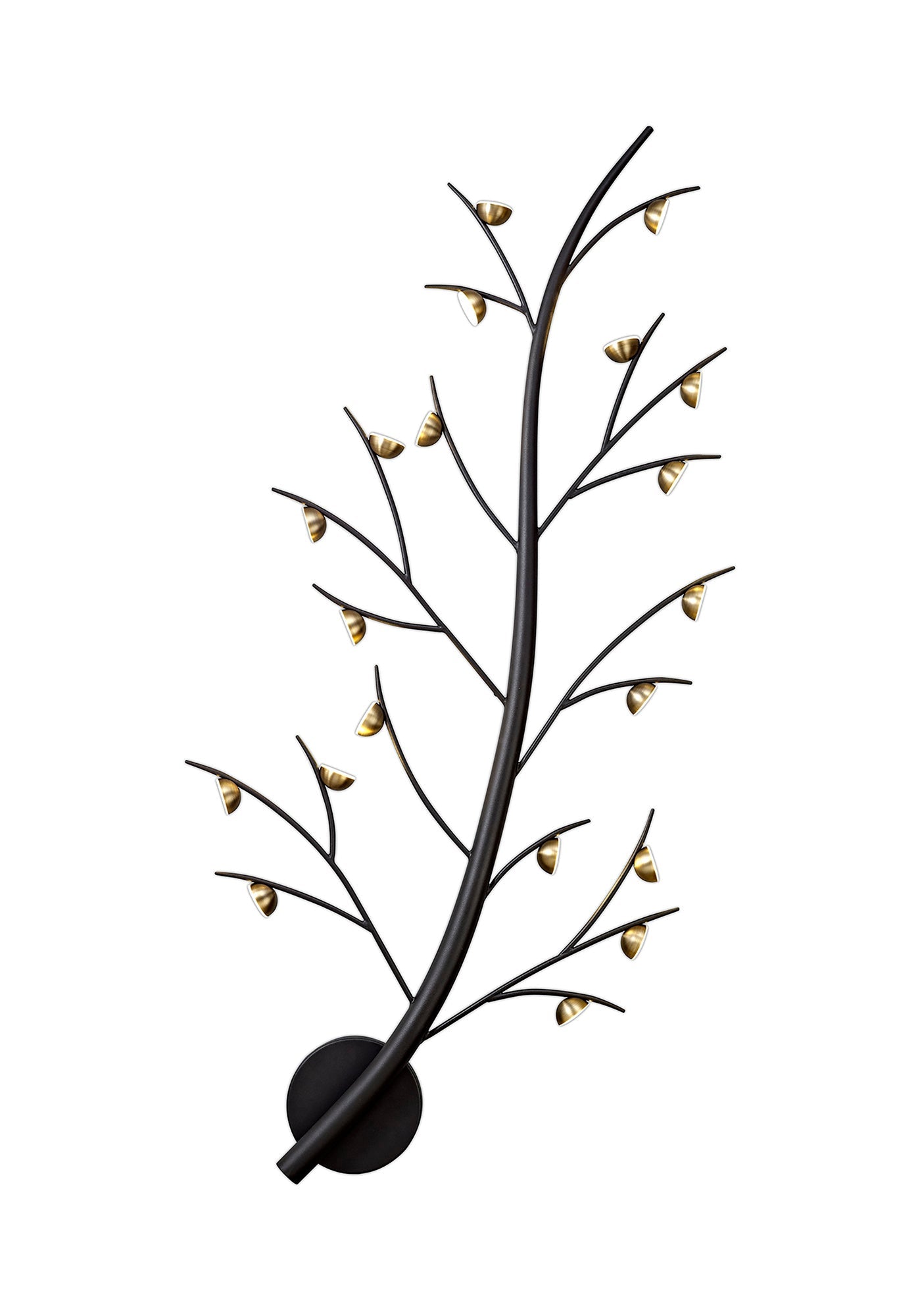 Budworth 20 Light Wall Lamp, 20 x 3W LED, 3000K, 3300lm, Black and Antique Brass, 3yrs Warranty