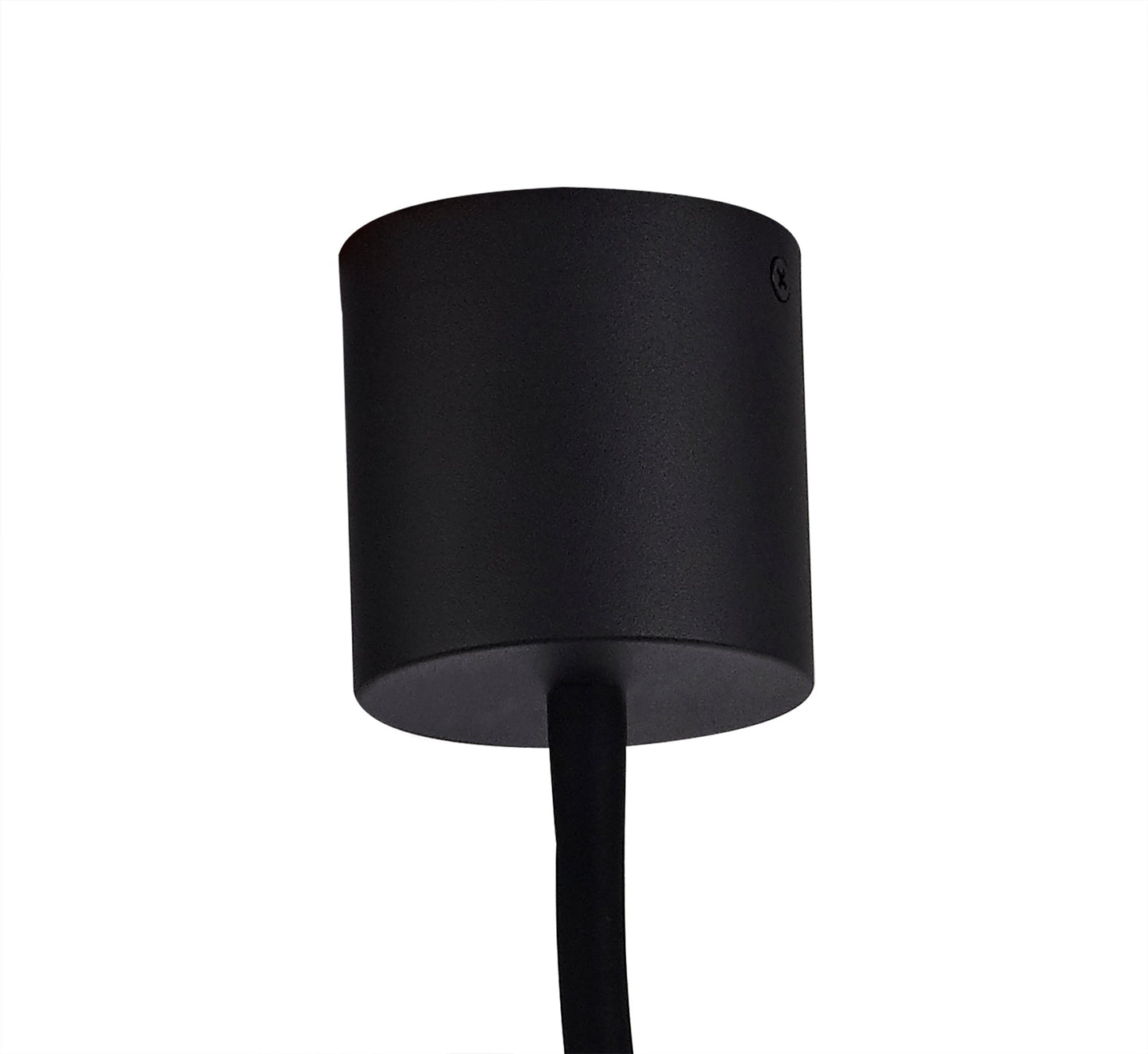 Moss Flexible Ceiling 1 Light E27, Satin Black and Brushed Copper