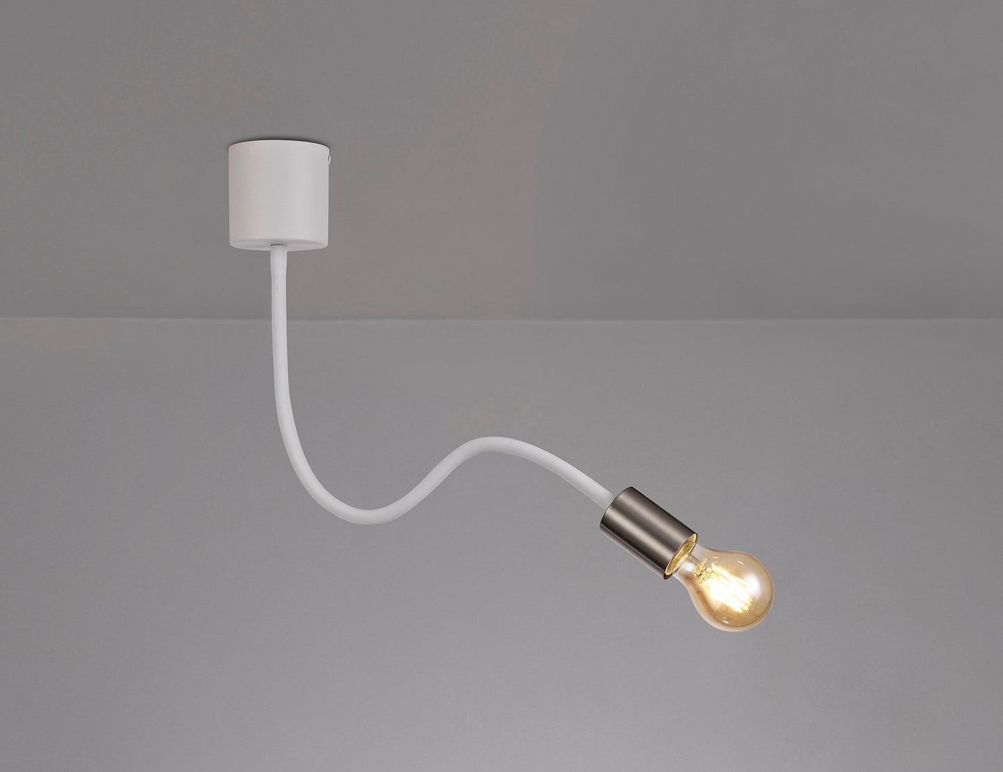 Moss Flexible Ceiling 1 Light E27 Satin White and Satin Nickel