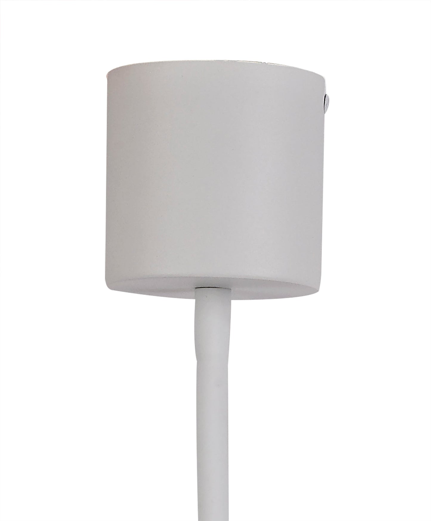 Moss Flexible Ceiling 1 Light E27 Satin White and Satin Nickel