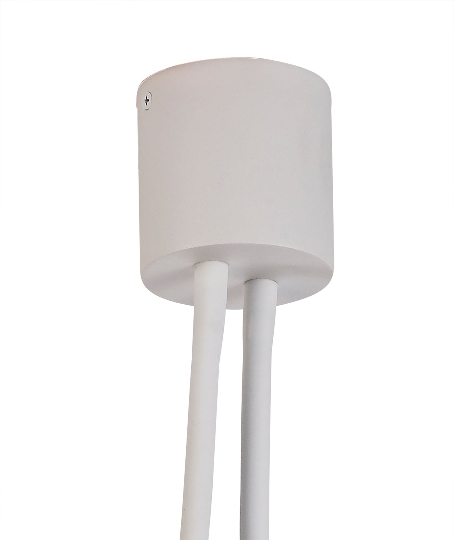 Moss Flexible Ceiling 2 Light E27 Satin White and Satin Nickel