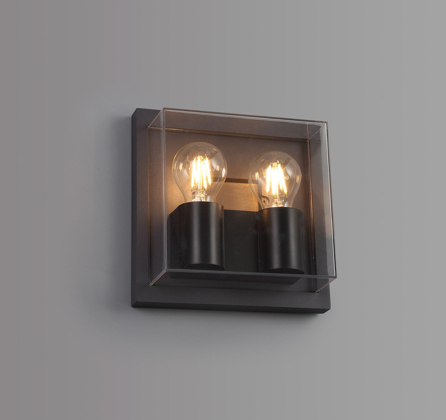 Norley Wall Lamp, 2 x E27, IP65, Anthracite and Clear PC, 2yrs Warranty