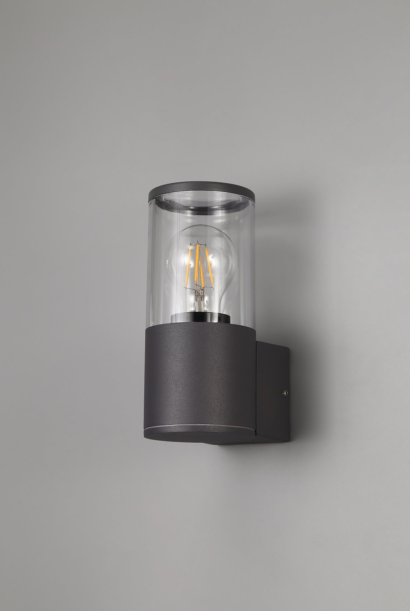 Paddock Wall Lamp 1 x E27, IP54, Anthracite and Clear, 2yrs Warranty