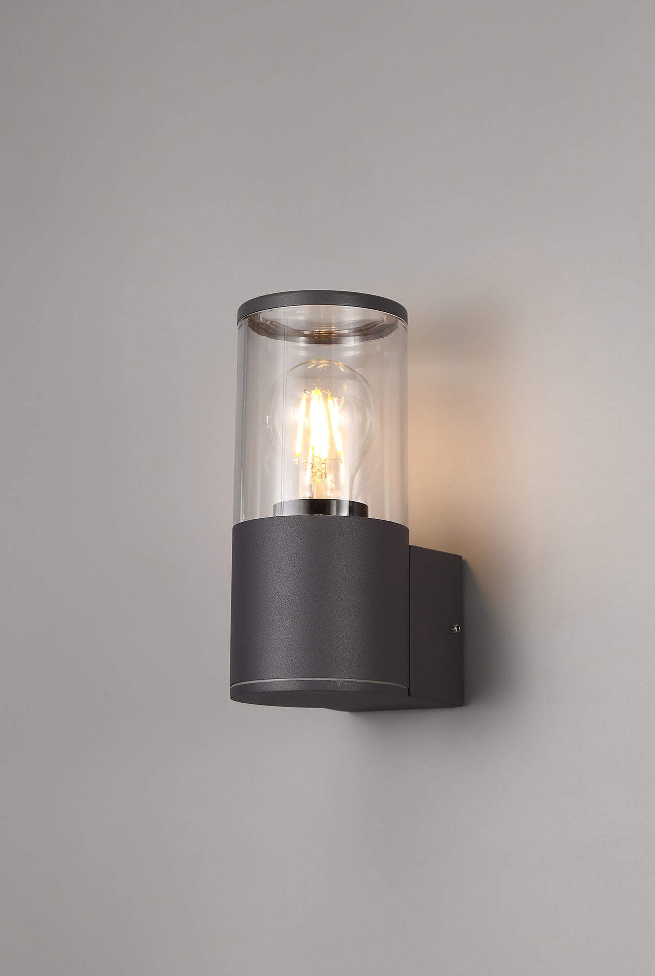 Paddock Wall Lamp 1 x E27, IP54, Anthracite and Clear, 2yrs Warranty