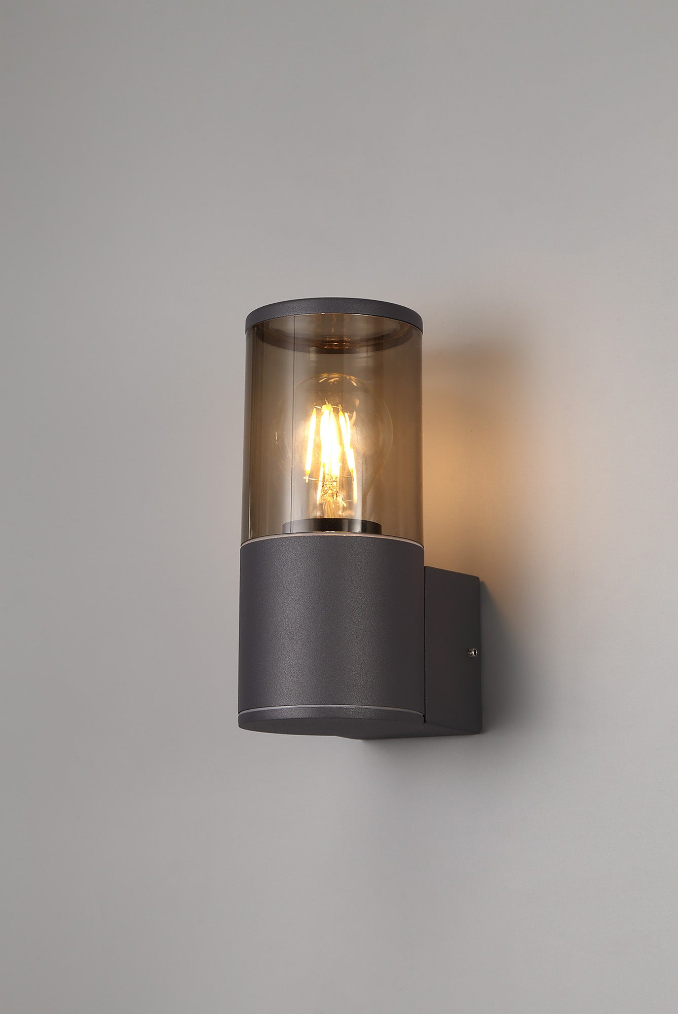 Paddock Wall Lamp 1 x E27, IP54, Anthracite and Smoked, 2yrs Warranty