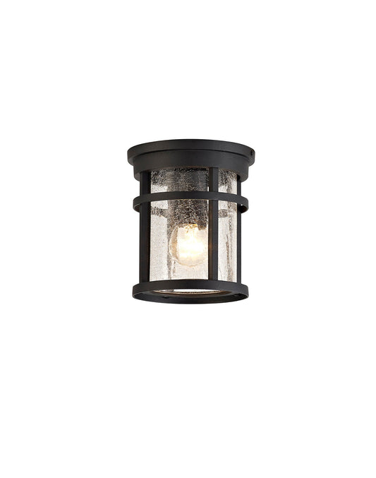 Beeston Ceiling, 1 x E27, Black and Clear Crackled Glass, IP54, 2yrs Warranty